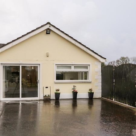 19A Lismenary Road Ballyclare Exterior foto
